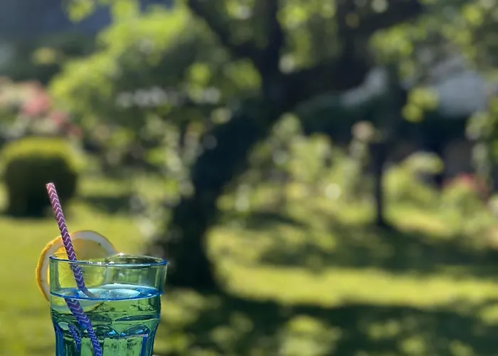 Sous La Glycine B&B Cressensac-Sarrazac