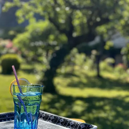 Sous La Glycine Bed & Breakfast Cressensac-Sarrazac